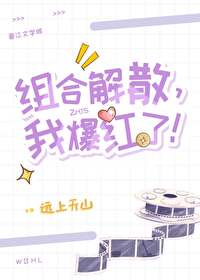 组合解散，我爆红了